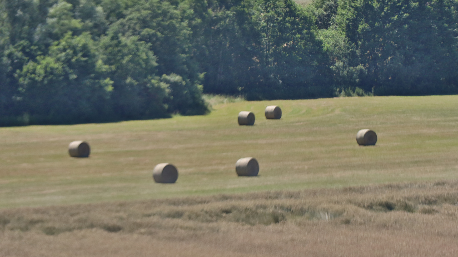 Heuernte im Sommer