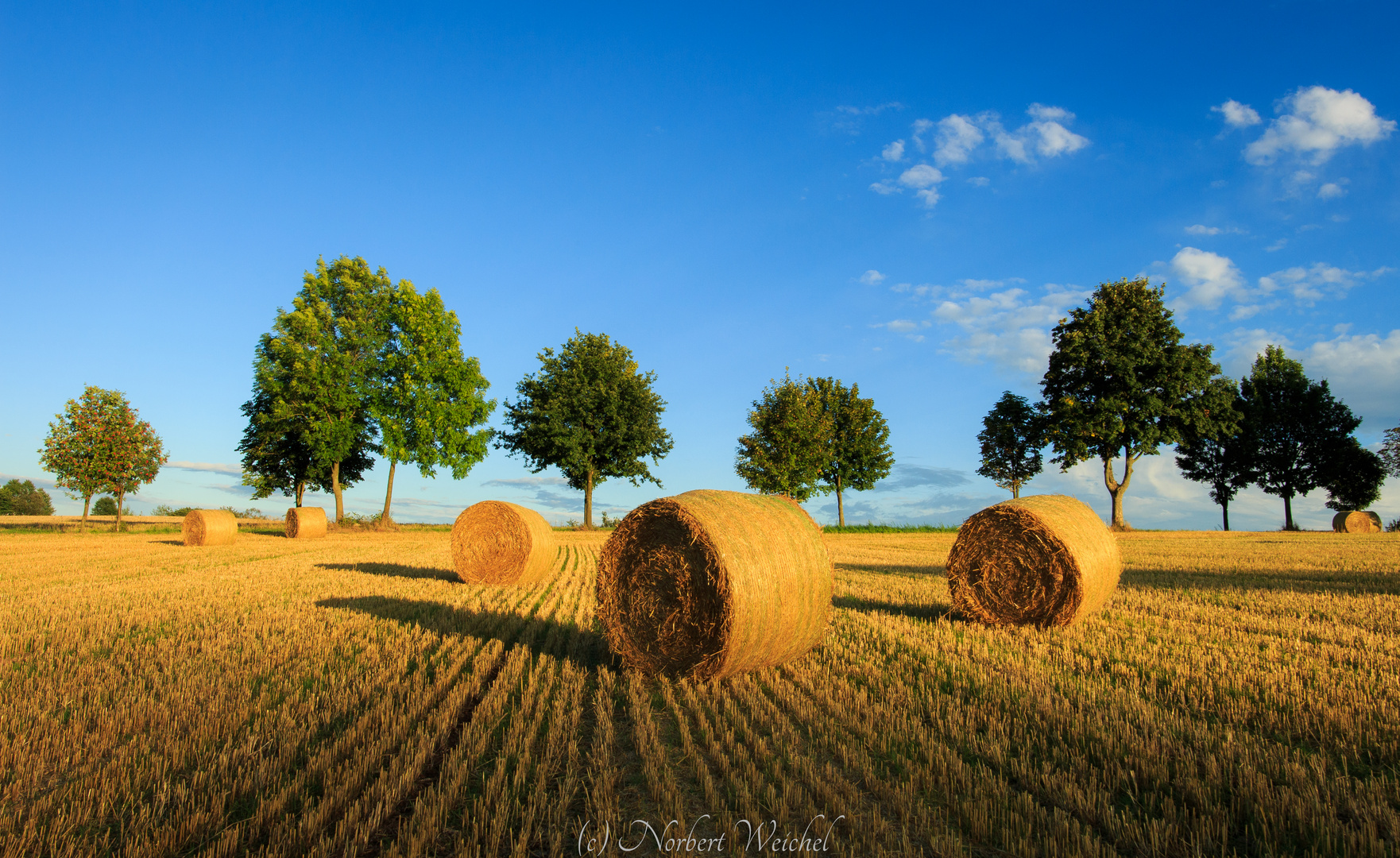 Heuernte im Spätsommer