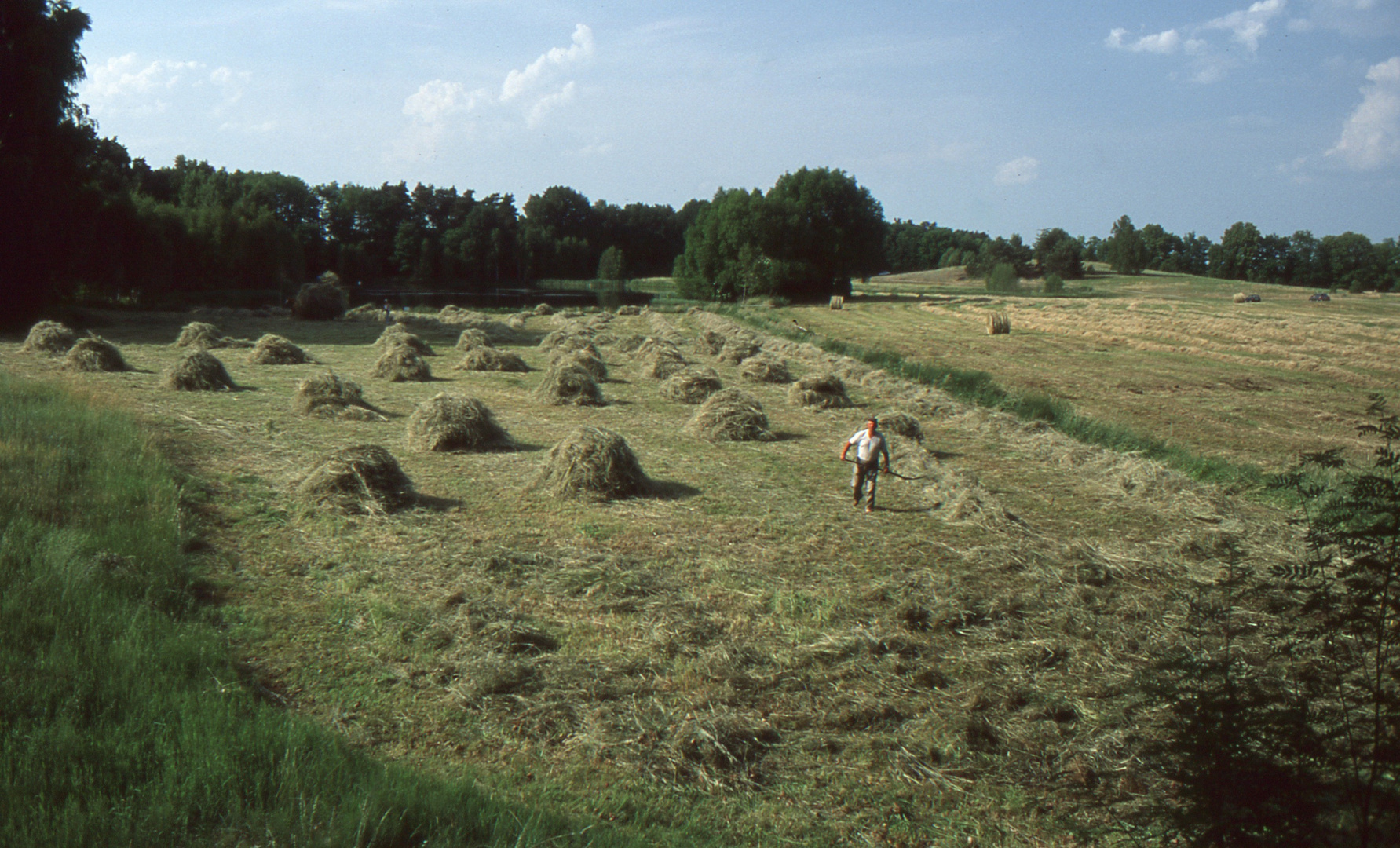 Heuernte im Spreewald