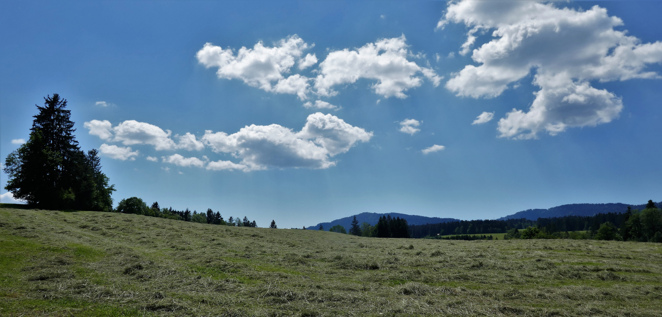 Heuernte im Tal der Rothach