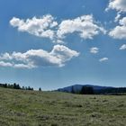 Heuernte im Tal der Rothach