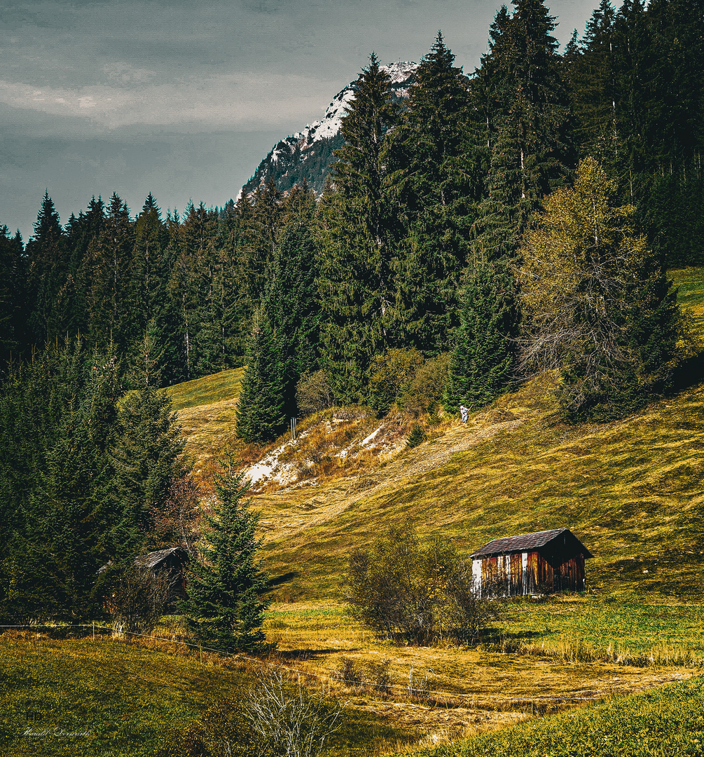 Heuernte im Tannheimer Tal