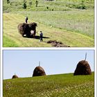 Heuernte in der Gegend um Târgu Mures