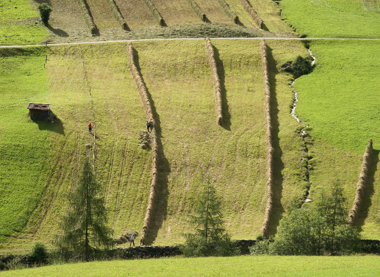 Heuernte in Taufers (Südtirol)