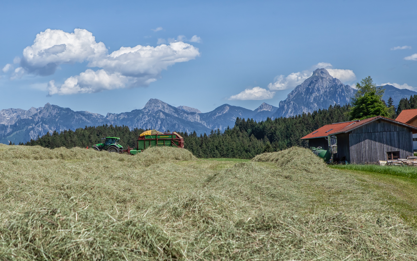 Heuernte mit Kulisse