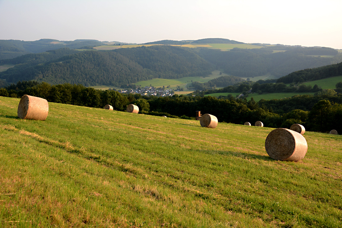 Heuernte oberhalb des Ahrtals