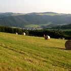 Heuernte oberhalb des Ahrtals