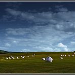 Heuhaufen oder Strohballen?