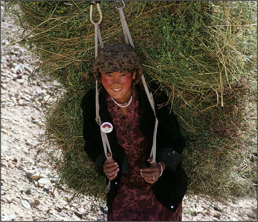 Heumädchen in Zanskar