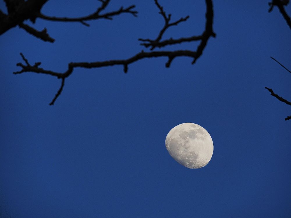 Heure bleue à la lune