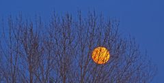 Heure bleue hivernale à la lune