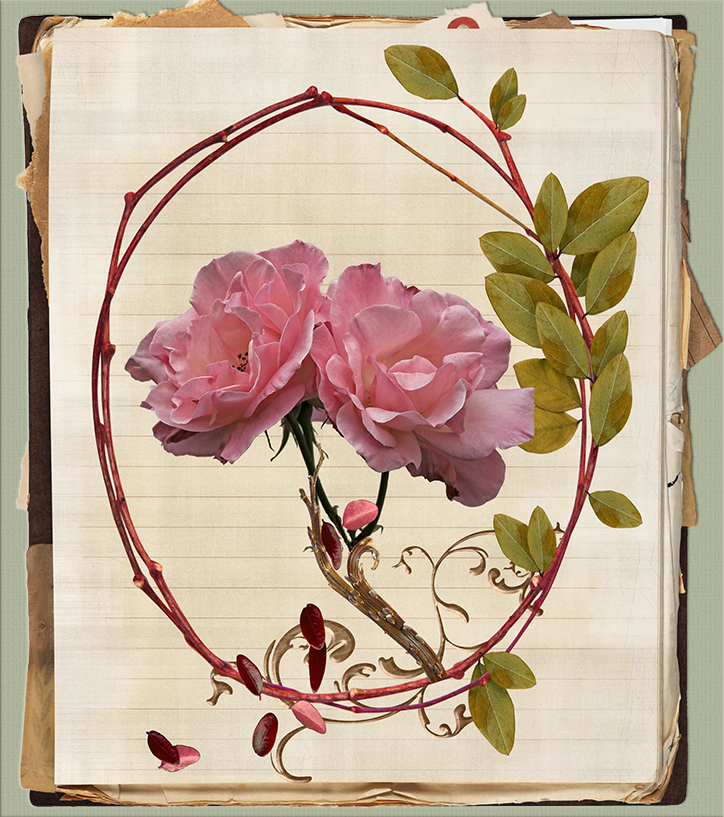 Heureux Anniversaire Pierre Photo Et Image Cartes De Voeux Creations Special Images Fotocommunity