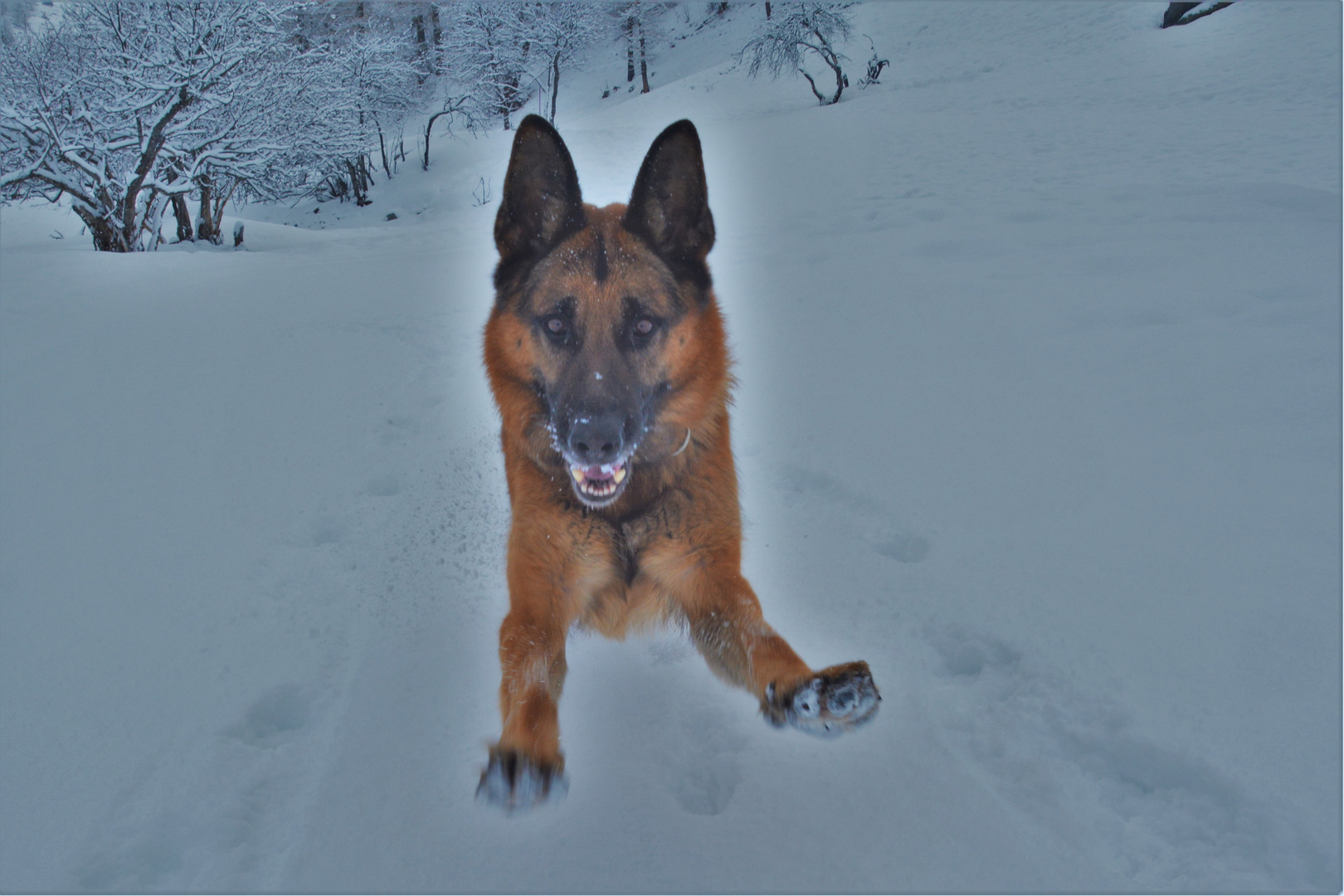 Heureux dans la Neige