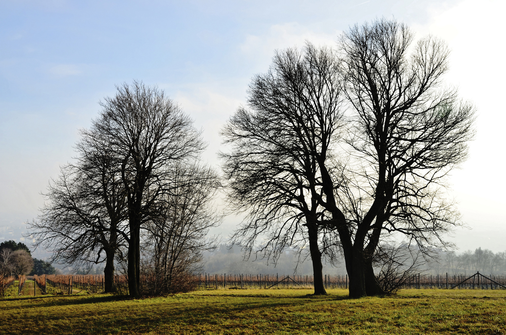 heurige Winterlandschaft