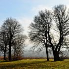 heurige Winterlandschaft