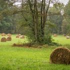 Heurollen - Lehde/Spreewald