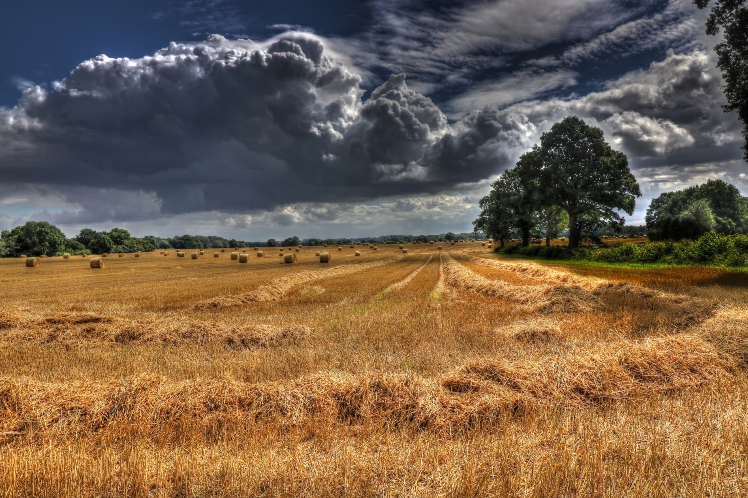 Heurollen nach Gewitter