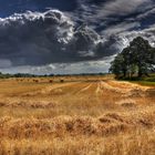 Heurollen nach Gewitter