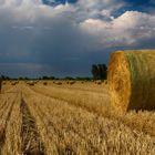 Heurollen vor dem Gewitter