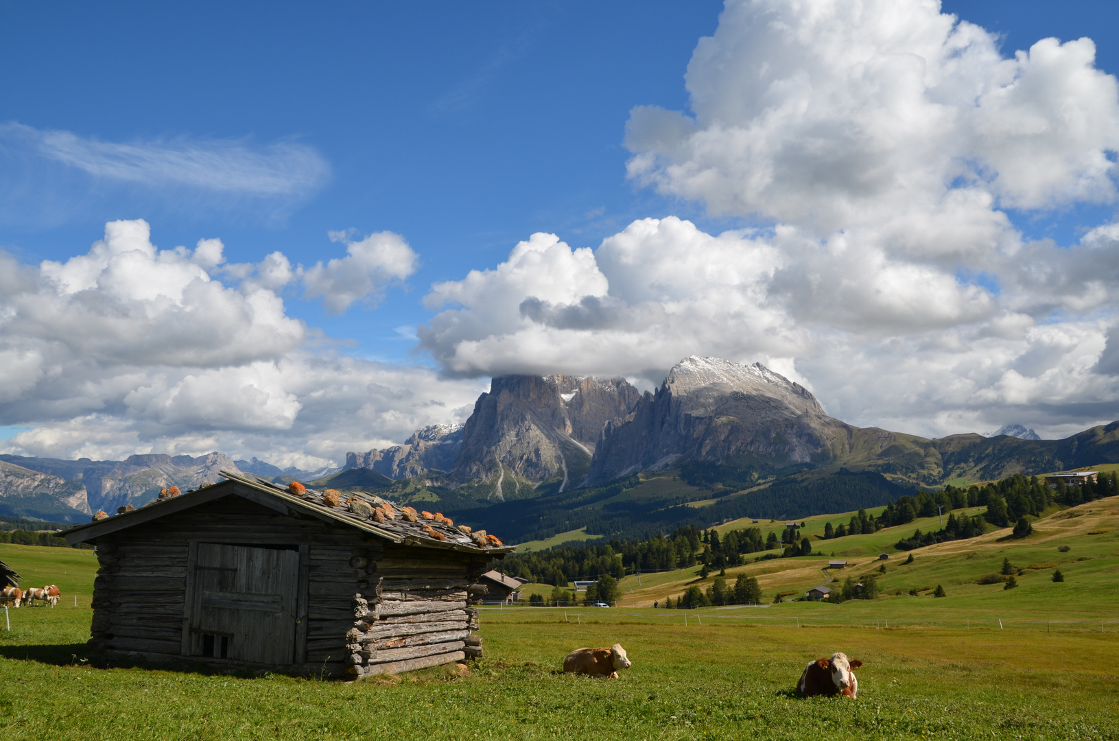 Heuschober auf der Seiser Alm