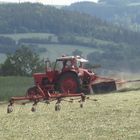 Heuschwaden mit Landschaftsblick