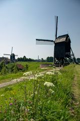 Heusden - Rampart - Stadshaven - 01