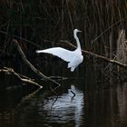 Heusenstamm am See