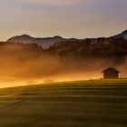 Heustadl im goldenen Morgenlicht