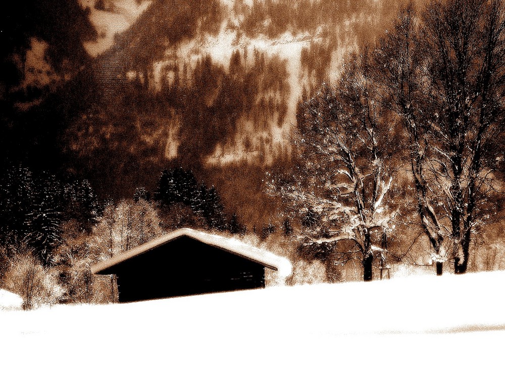 Heustadl in Goldegg im Pongau