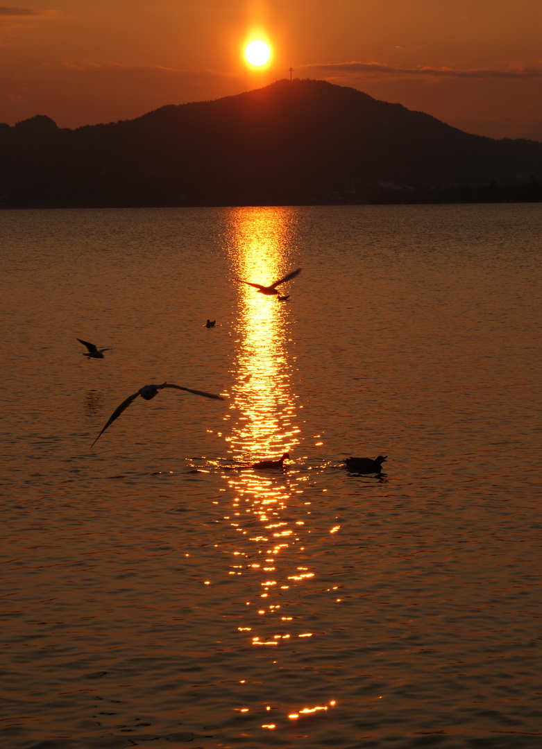 Heut Abend am Wörthersee