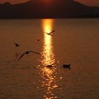 Heut Abend am Wörthersee