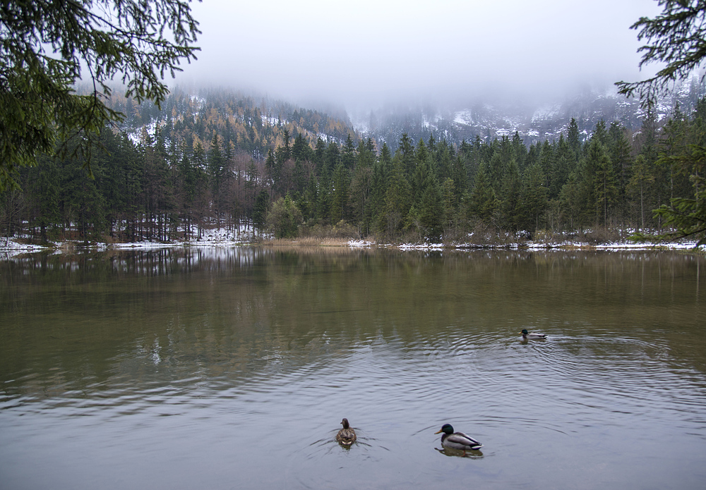 Heut am Taferlklaussee