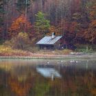 Heut am Taferlklaussee/OÖ