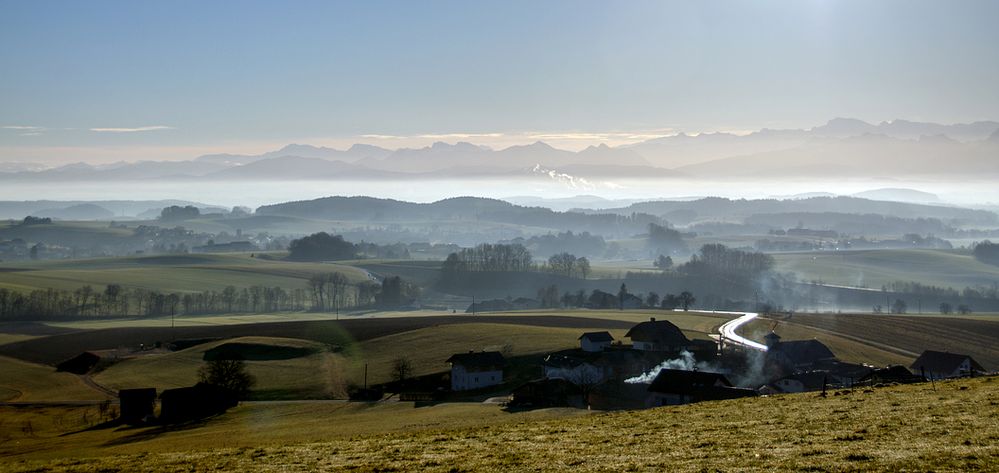 Heut früh beim Nordic Walking....