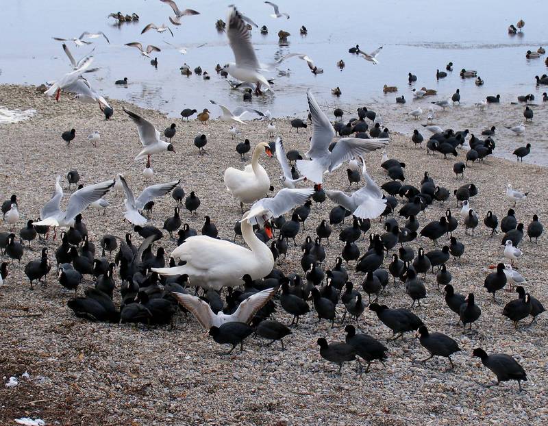 Heut fuhr ich zum ( bay. ) Meer