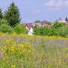 Heut gab es einen Sommertag