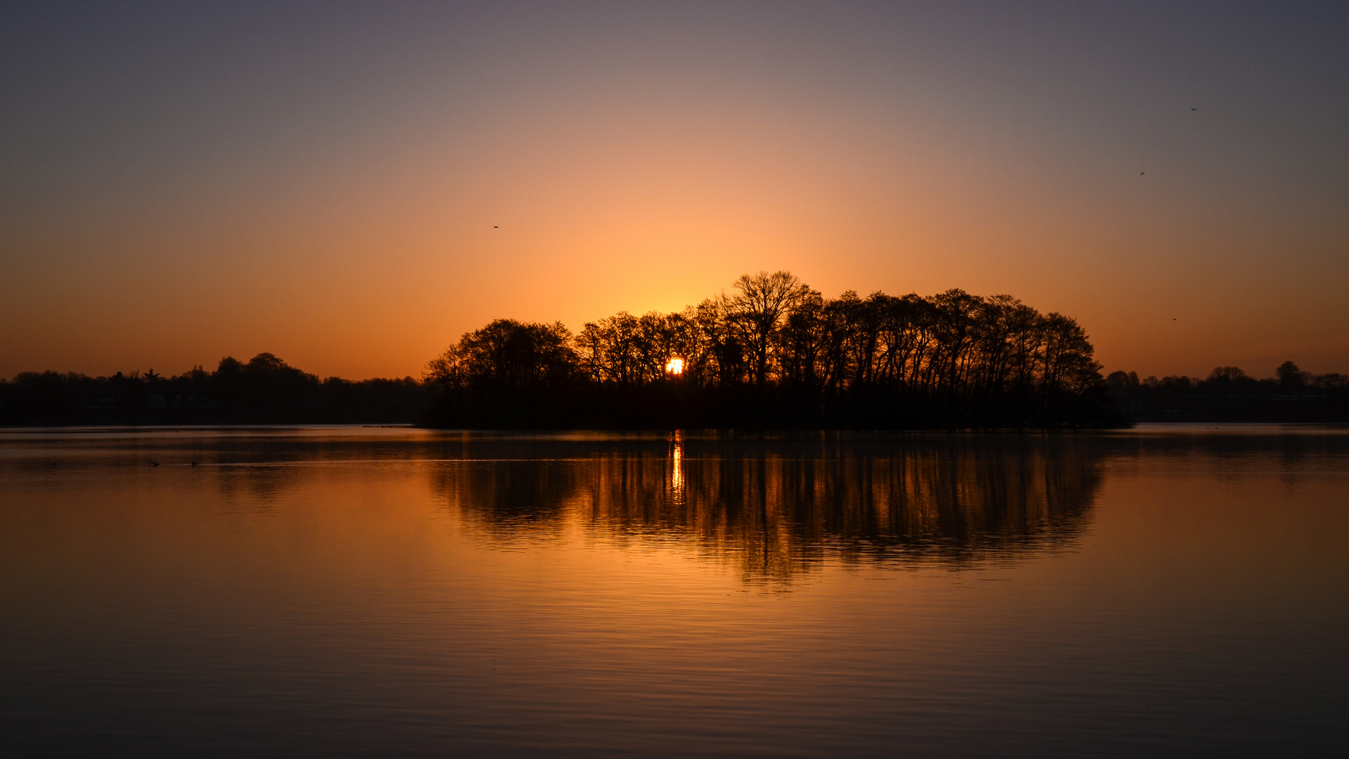 Heut morgen am See..