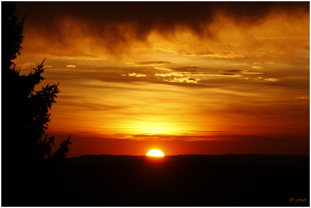 heut Morgen, Blick Richtung Bodensee