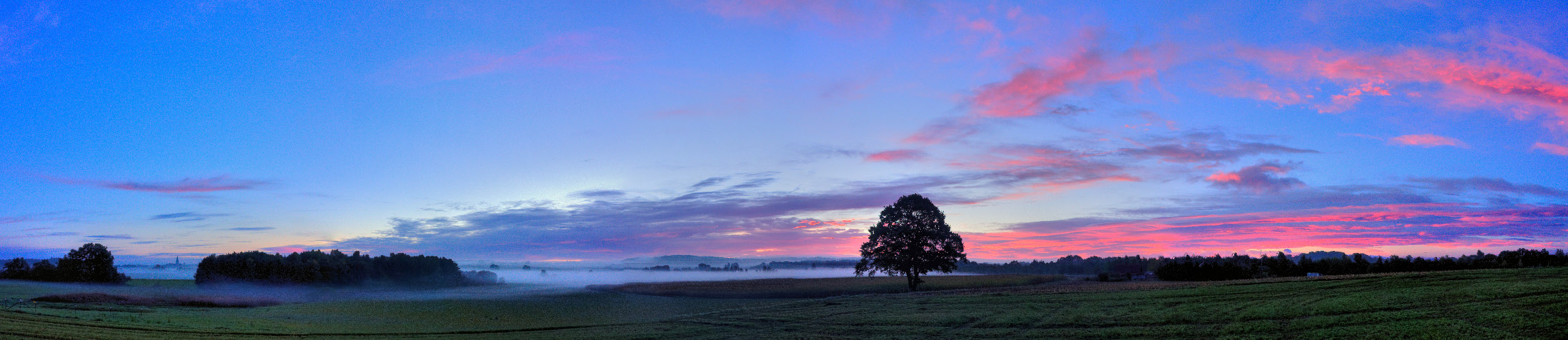 Heut Morgen zur blauen Stunde