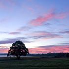 Heut Morgen zur blauen Stunde NEU