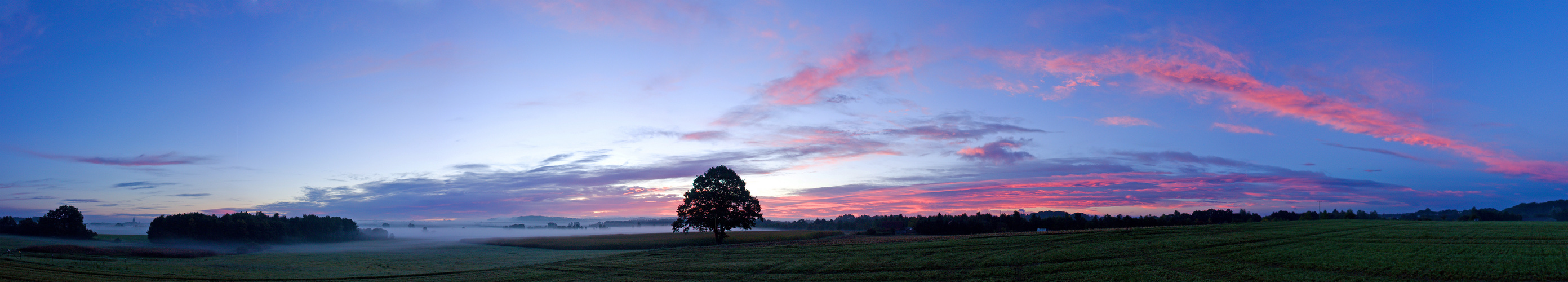 Heut Morgen zur blauen Stunde NEU