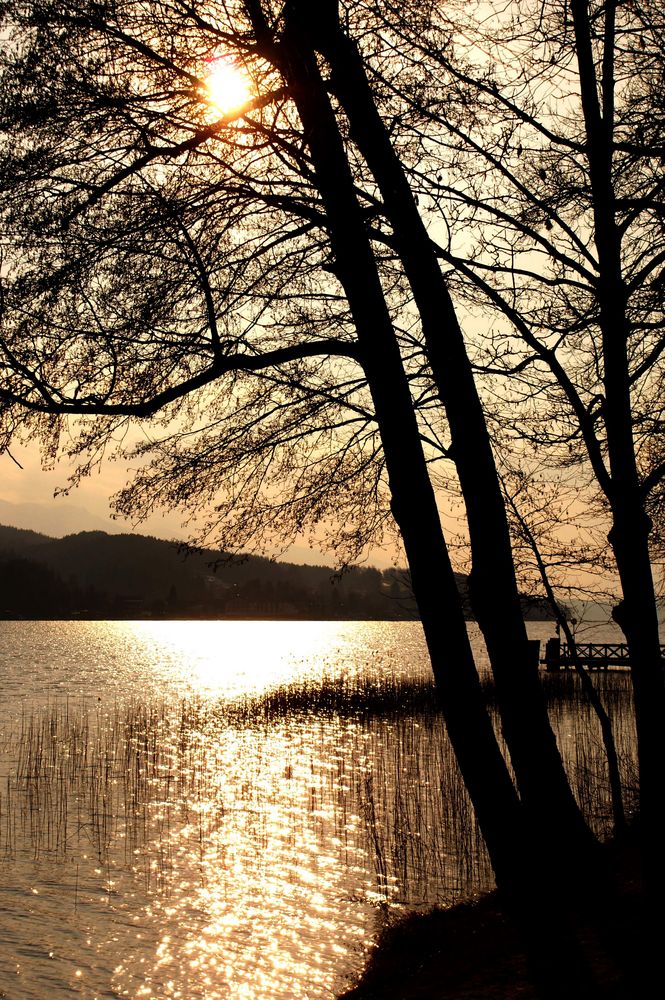 Heut Nachmittag am Wörthersee