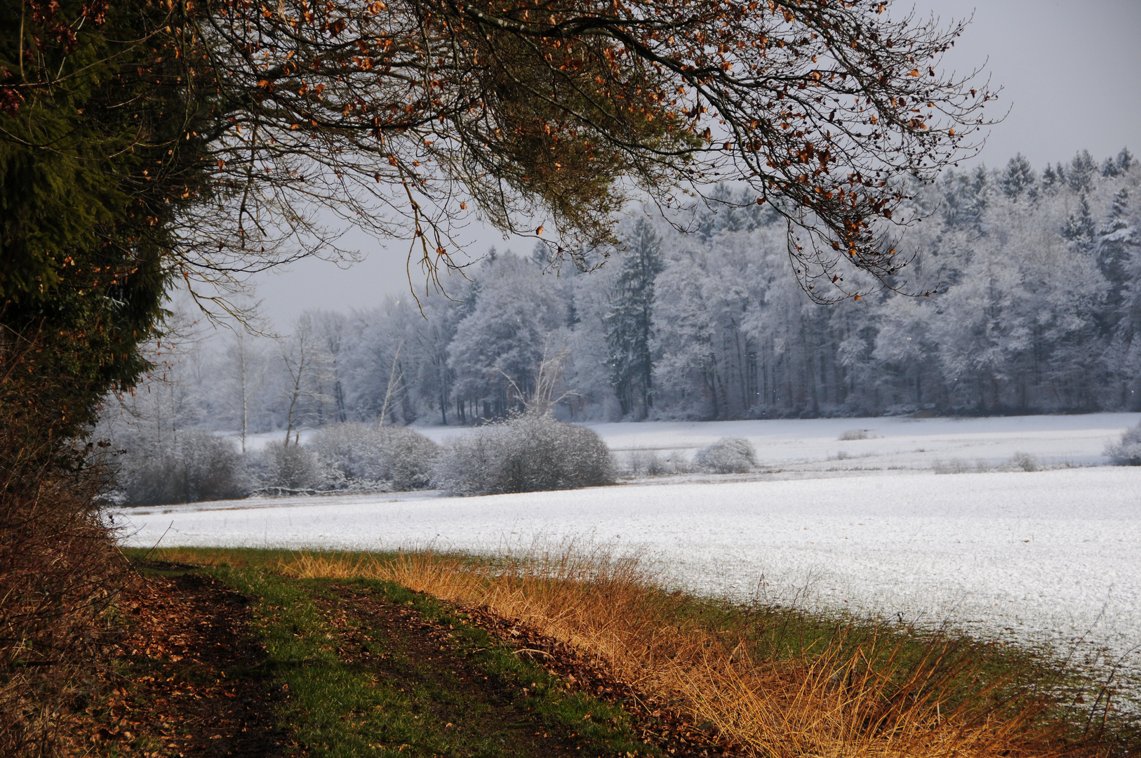 Heut Nacht hat's geschneit