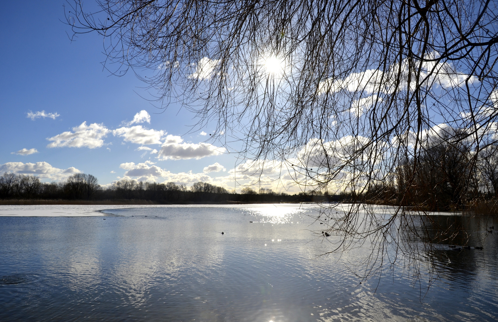 heute 13.00 Uhr am Kaulsdorfer See