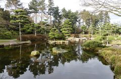 Heute (14.03.2022) im Japanischen Garten Düsseldorf ...