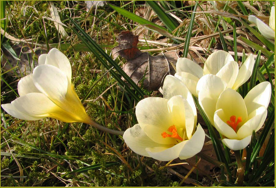 Heute 14:20h