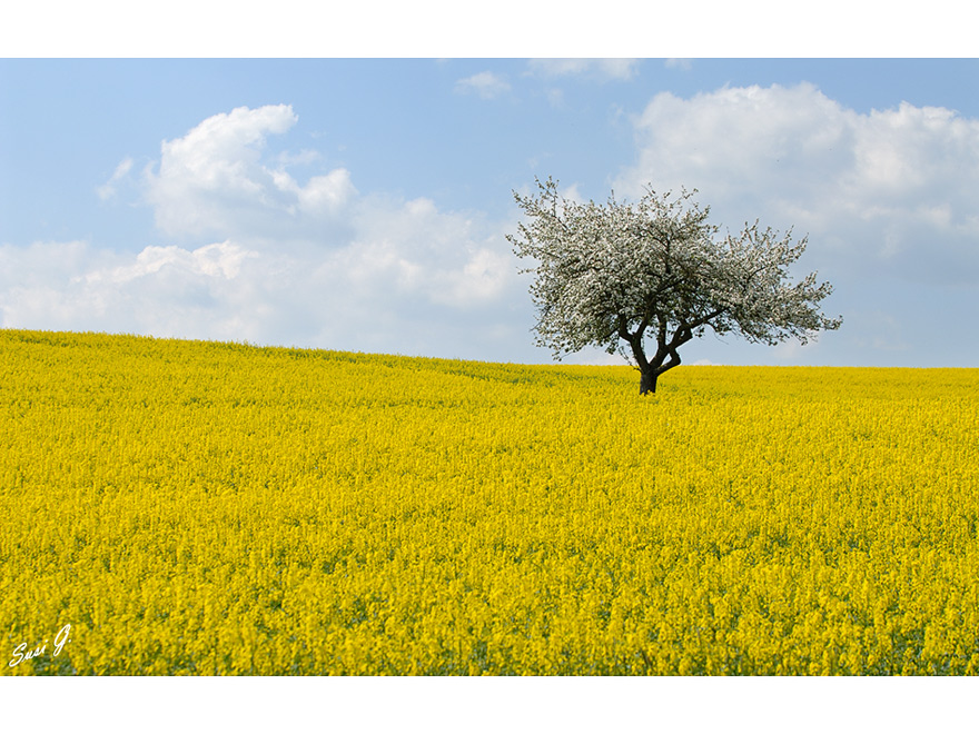 Heute 14:27