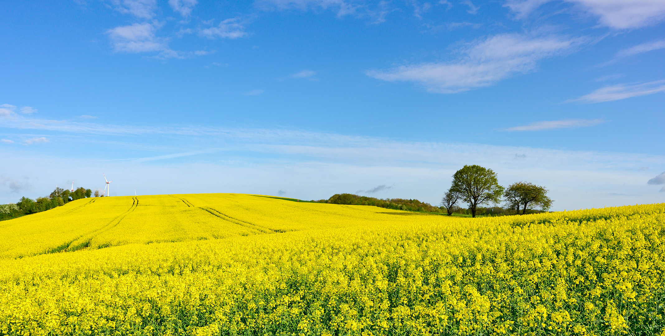 Heute 15.04.2024 um 9 Uhr 15 aufgenommen, frischer geht nimmer...