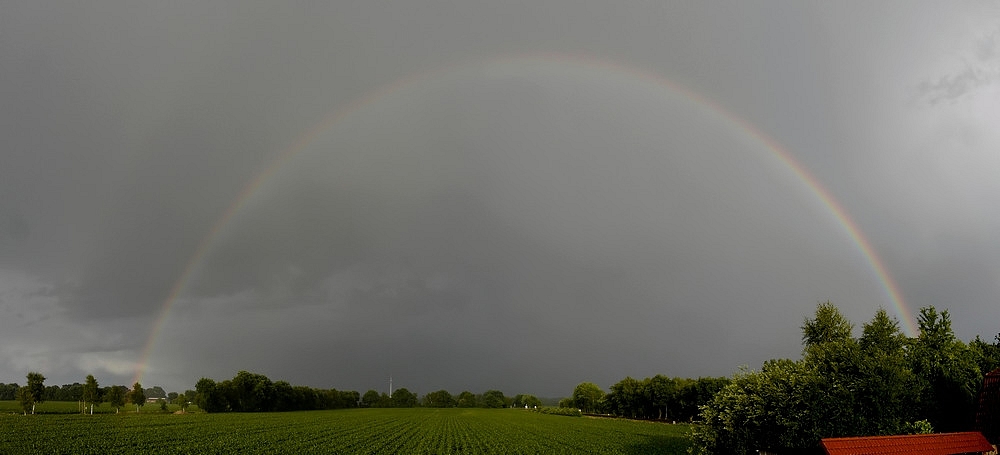 Heute 20.53 Uhr