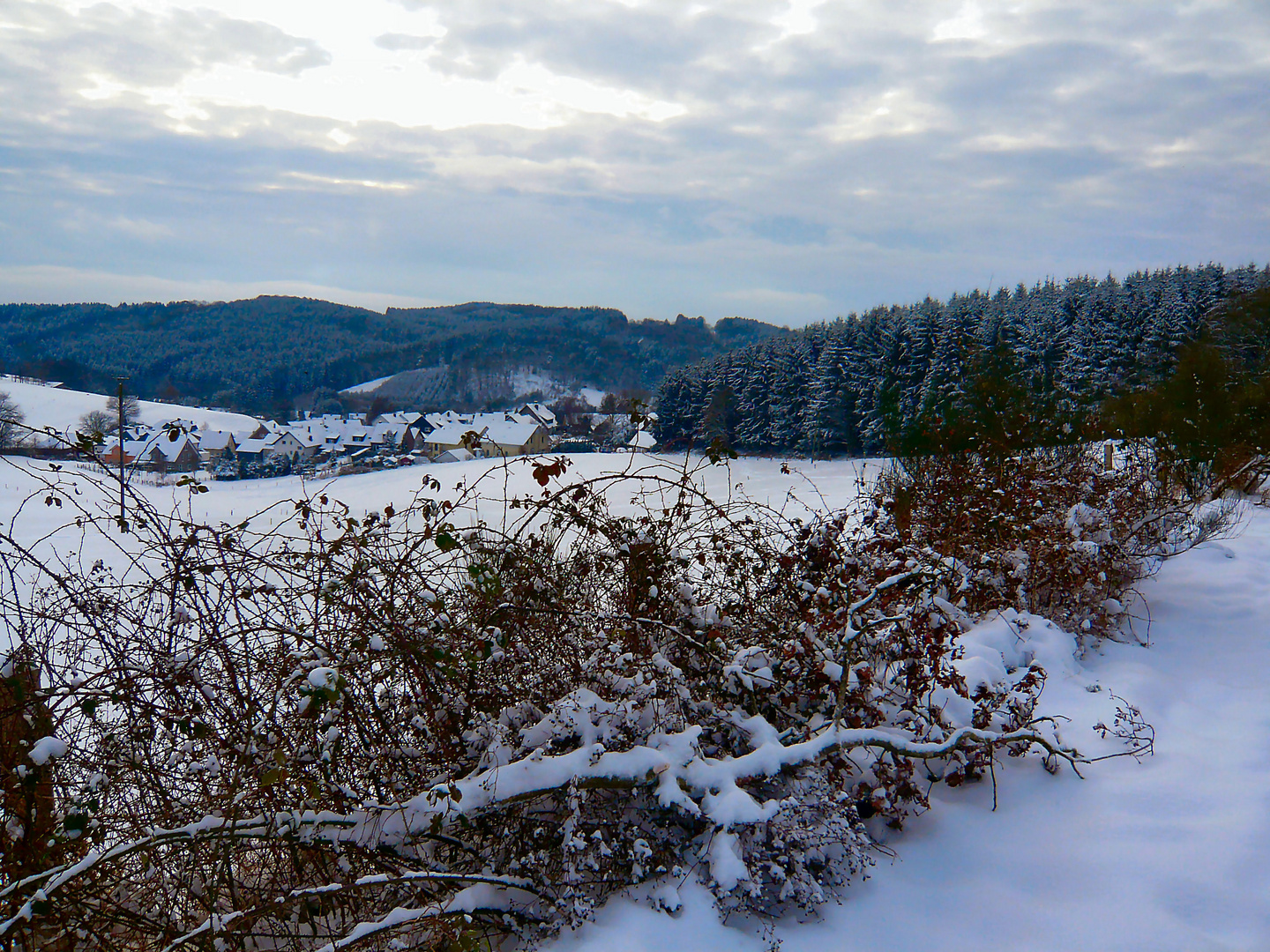 Heute, 21.12.2009 - 13:59 Uhr, bei uns im Bergischen Land